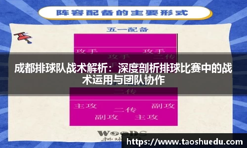 成都排球队战术解析：深度剖析排球比赛中的战术运用与团队协作
