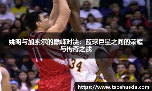 姚明与加索尔的巅峰对决：篮球巨星之间的荣耀与传奇之战