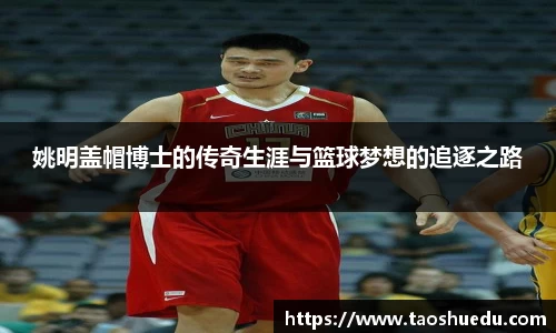 姚明盖帽博士的传奇生涯与篮球梦想的追逐之路