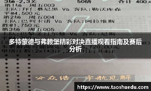 多特蒙德与弗赖堡精彩对决直播观看指南及赛后分析