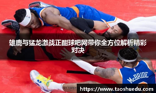 雄鹿与猛龙激战正酣球吧网带你全方位解析精彩对决