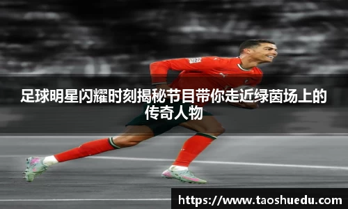 足球明星闪耀时刻揭秘节目带你走近绿茵场上的传奇人物